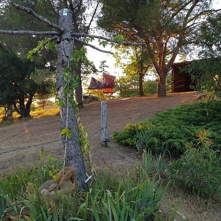L'Houstalet Des Serniers Claveyson Εξωτερικό φωτογραφία