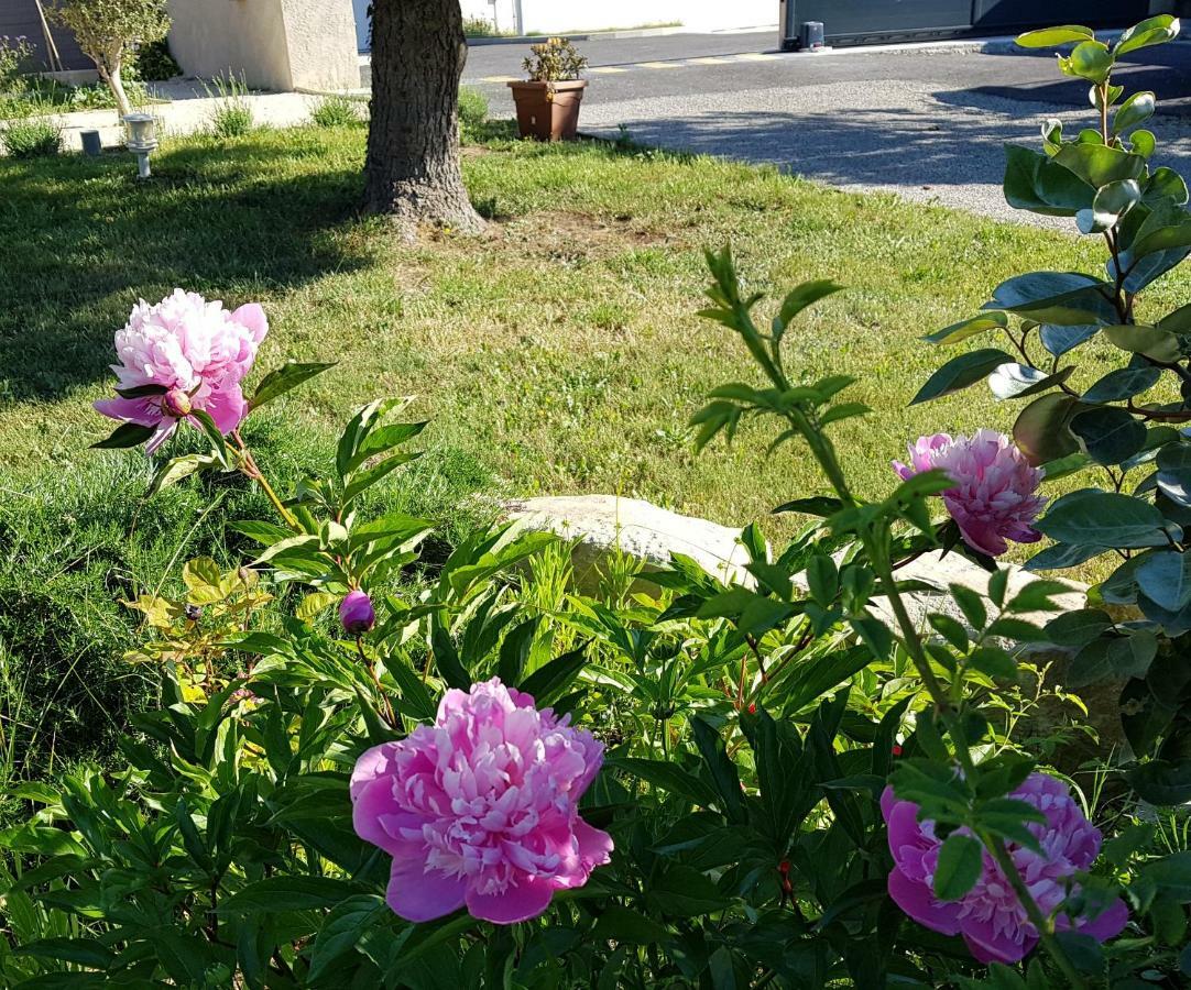 L'Houstalet Des Serniers Claveyson Εξωτερικό φωτογραφία